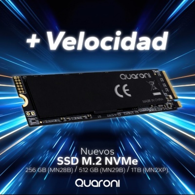 disco ssd quaroni mn28b 256gb m.2